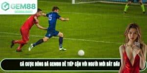 Cá Cược Bóng Đá